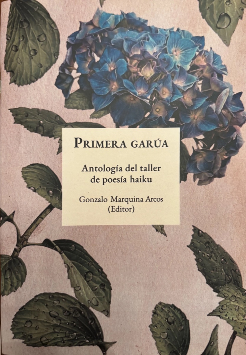 Cubierta de Primera Garúa